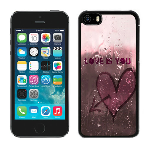 Valentine Love Is You iPhone 5C Cases CQK